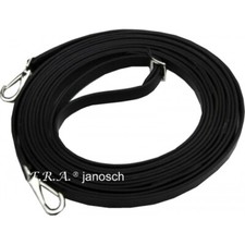 Janosch Horse Straightness