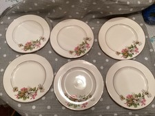 Vintage Alfred Meakin England Plates 16cm VGC