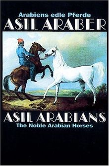 Arabiens edle pferde asil - edle,