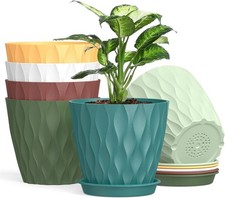 Pack 5in plastic plant pots - pack,
