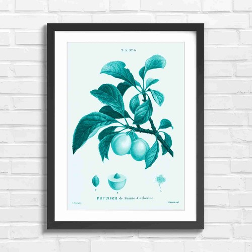 Vintage yellow plum - vintage, botanical