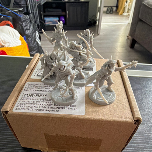 Unpainted fantasy wargame - fantasy,