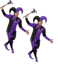 Halloween Adult Jester Costume