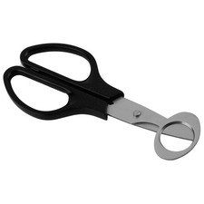 pigeon Quail Egg Scissor Bird