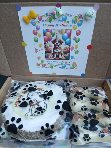 Dog birthday gift treat box - dog,