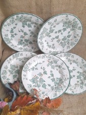 5xBHS Country Vine Dinner Plates 26.5cm