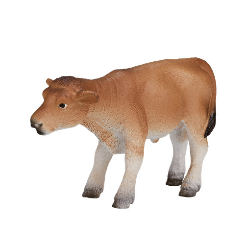 Mojo jersey calf cow - jersey,