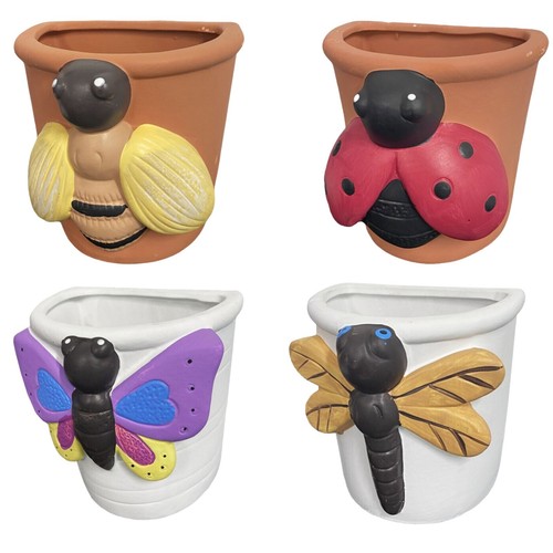 Insect wall planters - wall,