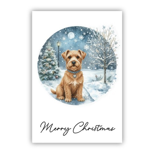 Norfolk terrier christmas - norfolk,