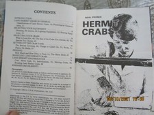 Land hermit crabs - hermit, by