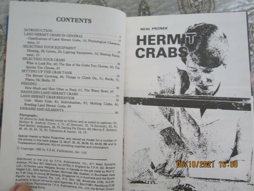 Land hermit crabs neal - hermit, by