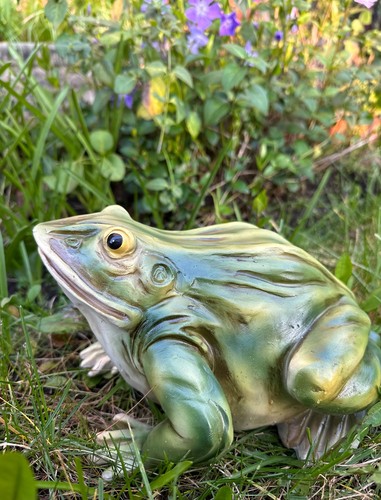 Toad frog garden - toad,