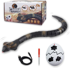 Remote Control Snake Toy