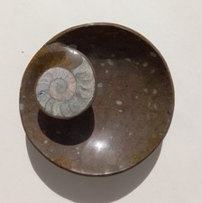 LARGE MOROCCAN AMMONITE ATLAS