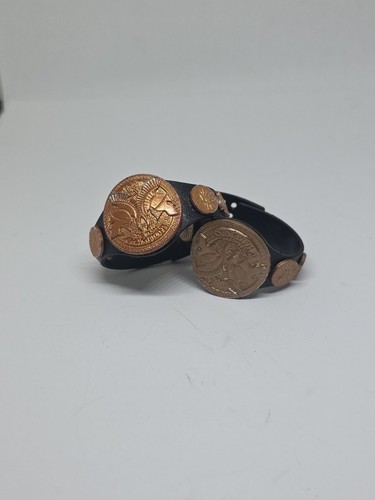 Wwe bronze undisputed tag - 2,