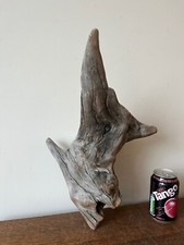 Driftwood Piece  smaller silver point  stump. Bogwood  for  vivarium, or Display