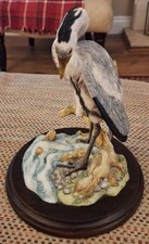 Teviotdale Heron On Naturalist