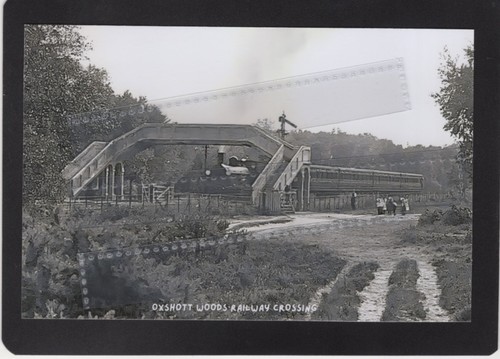 Oxshott woods railway - woods,