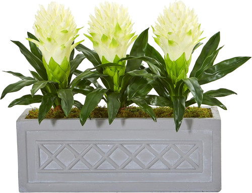 Bromeliad silk plant - silk,