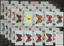 WILLS-FULL SET- BRITISH BUTTERFLIES (50 CARDS) 