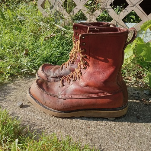Vintage redwing irish setter - redwing,