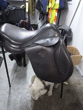 Kent And Masters 17inch Brown