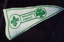Boy Scout pennant