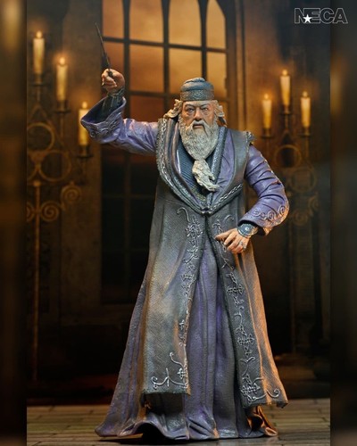 Neca harry potter legacy - harry,