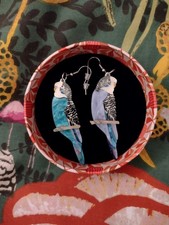 Erstwilder Earrings Budgies  Jocelyn Proust Pair O Keets Earrings Rare