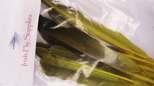Ifs mallard flight - flight, feathers