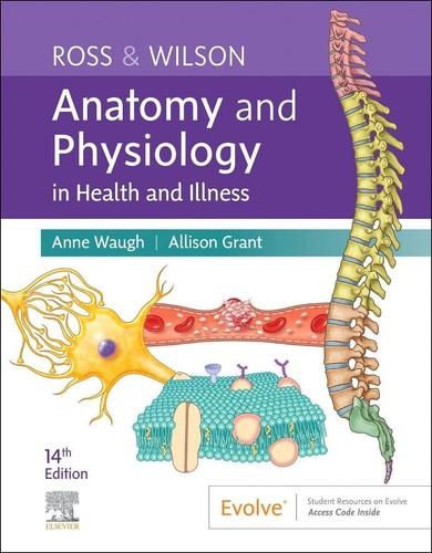 Ross wilson anatomy and - ross,