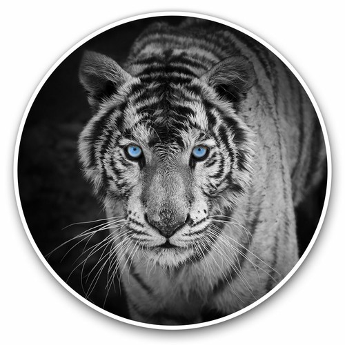 Vinyl stickers 20cm - 2,