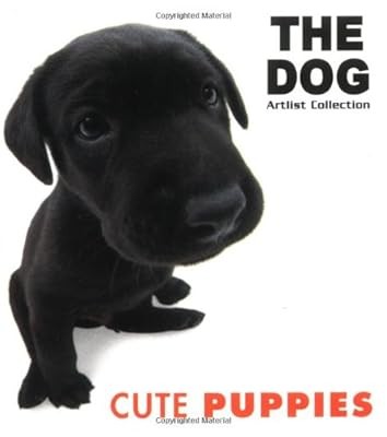 Cute puppies - puppies, series)