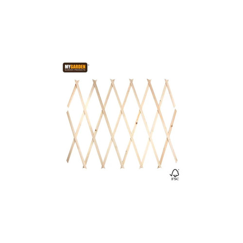 Expanding wooden trellis - trellis, x