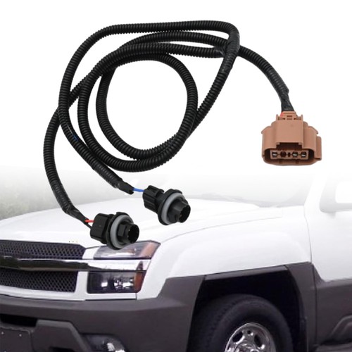 Rear bumper license - bumper,