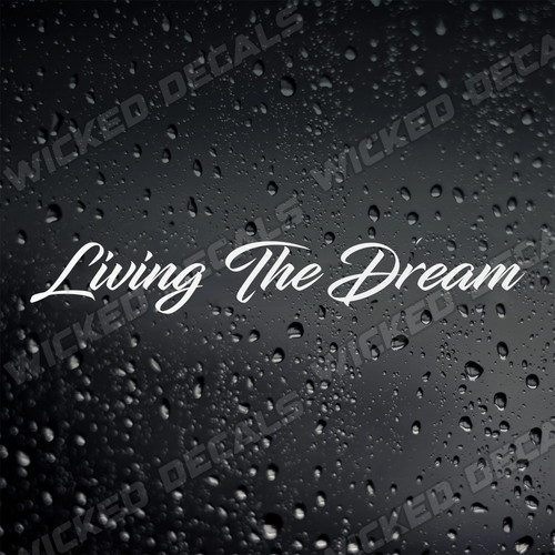 Living the dream - funny, vinyl