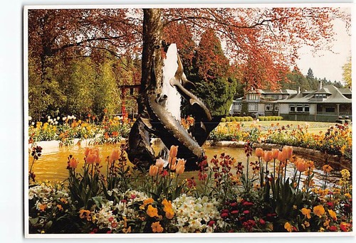 Postcard dolphin fountain - postcard,