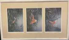 Limited Edition Signed Morris Prints Of Kingfishers Birds All Framed 370/500