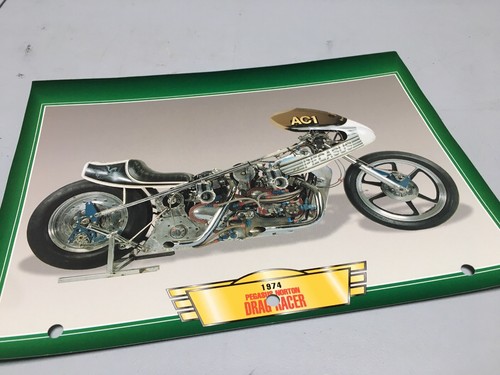 Motorcycle passion pegasus - motorcycle,