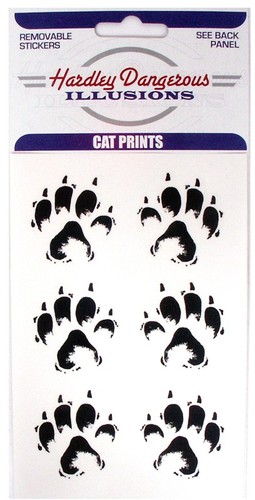 Cat dog animal - animal, pet