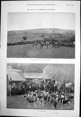 Old antique print devon - antique,