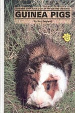 Guinea Pigs (Paperback) - FREE Shipping