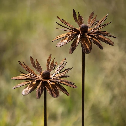 2pcs rusty cornflower garden - rusty,