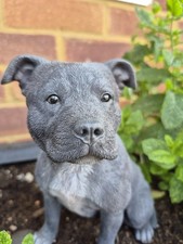 Staffordshire terrier figure - terrier,