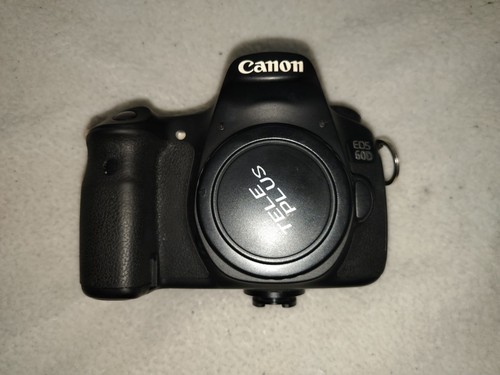 Canon eos 60d body - canon, only
