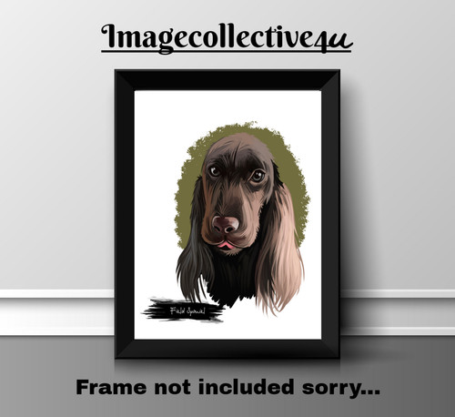 Field spaniel pet dog - field,