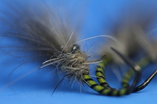 Yellow owl fly cdc emerger - 3,