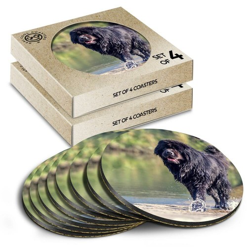 Round coasters the box - 8x,