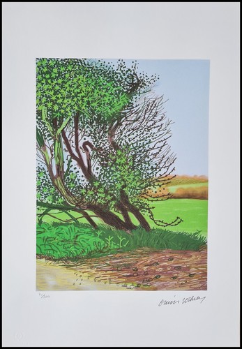 David hockney the arrival - david,