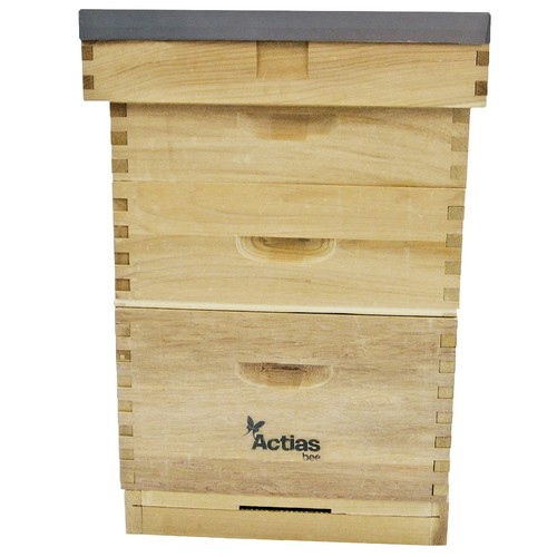 2nds bee hive - bee,
